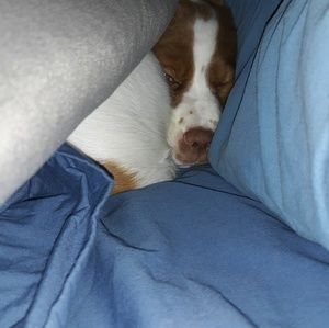 Meet your Posher, Adam